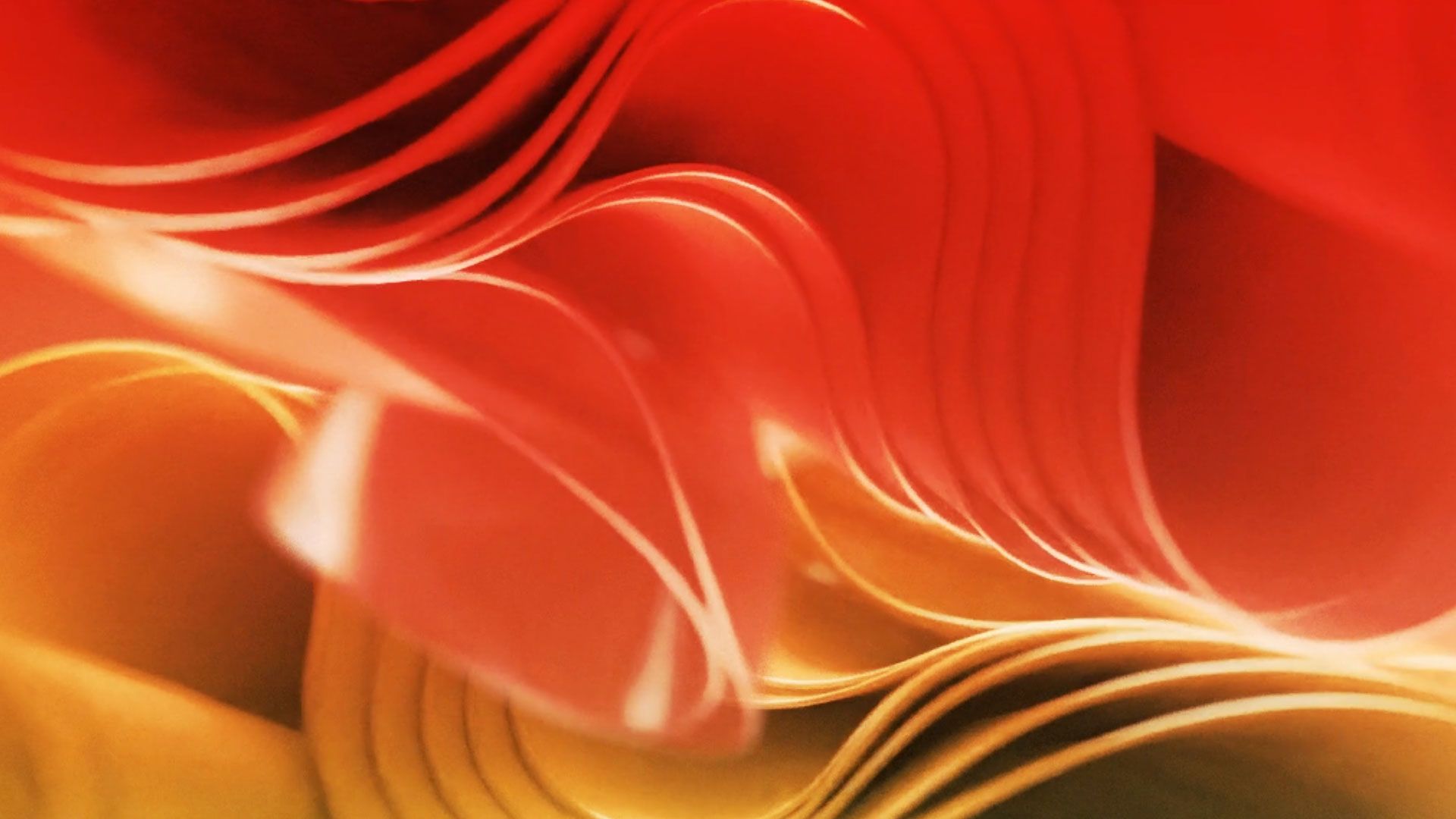 AEDC_Visuales1_00000.jpg