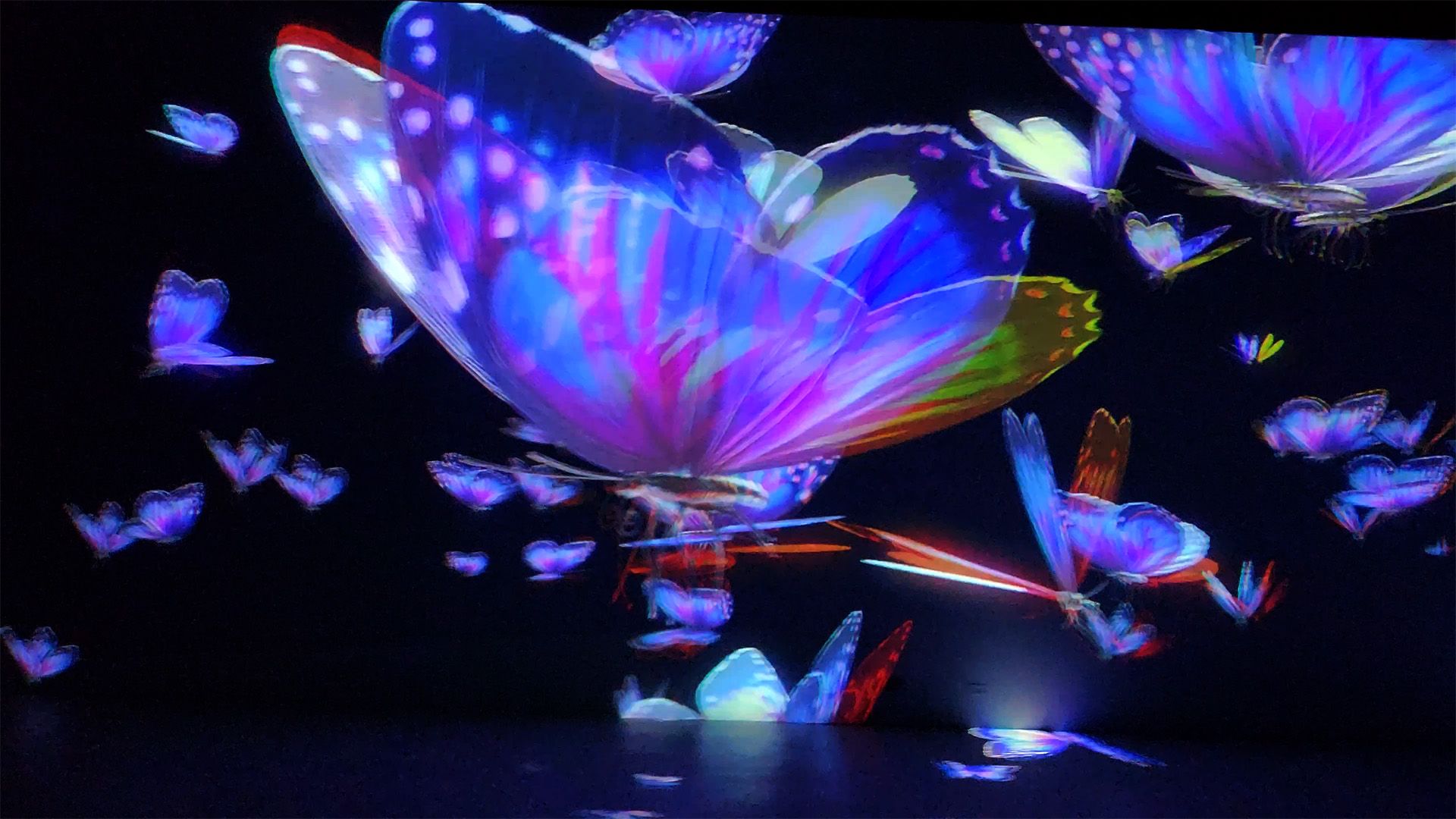 Gravity Studio Reel